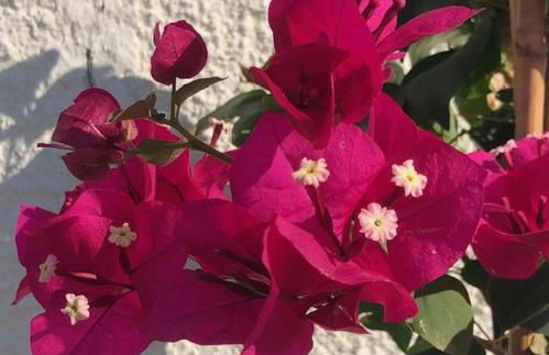 Casa Belfi - Foto 45