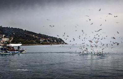 Hara's house - Foto 43