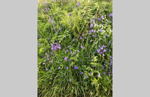 Ballyheifer House - a beautiful 5 bedroom home. - Foto 56