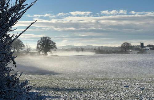 Ferienwohnung Ostseefeuer - Foto 77