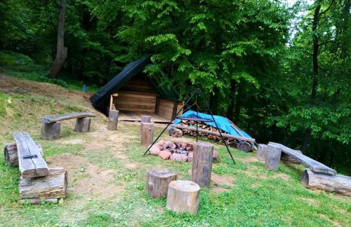 Bieszczadzkie Dworki - Foto 12