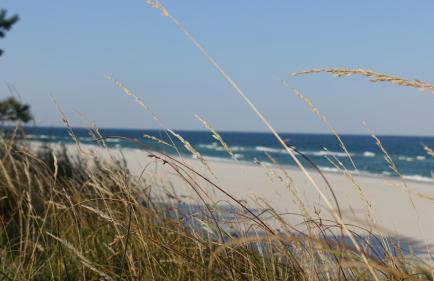 Helskie Tarasy - Foto 36