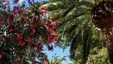 Mora Mora - Apartments - Foto 5