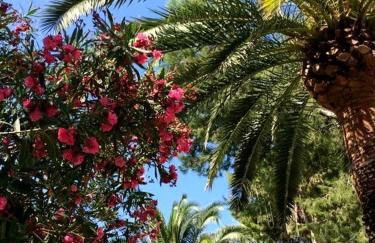 Mora Mora - Apartments - Foto 5