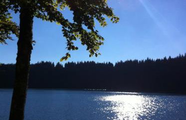 La Grange Saillant Saint Nectaire - Foto 56