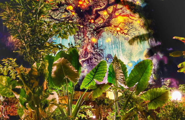 Blue Whale Villa - Photo 56