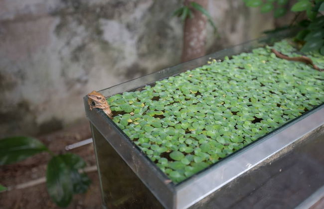 Hillside Homestay Hue - Meditation Studio - Foto 19