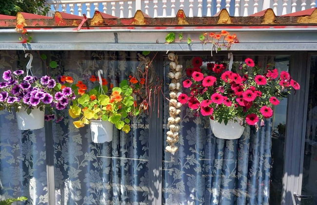 Vista de Montana Meteora II - Foto 28