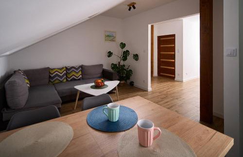 Brzozowy Zakątek - Photo 10