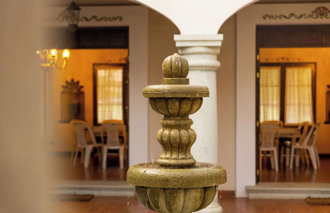 Casa Jacarandas - Photo 34