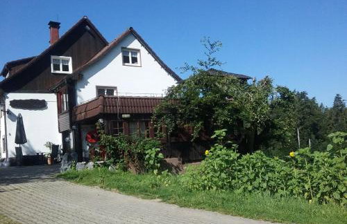 Haus Biggi - Ferienwohnung Hochgrat - Photo 1