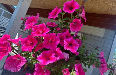 Domki u stolarza - Foto 10