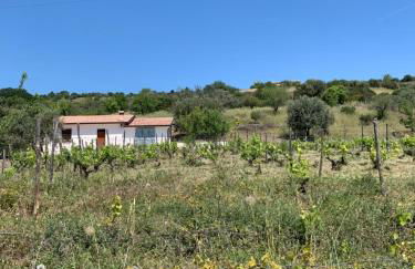 Villa Paradiso - Photo 7