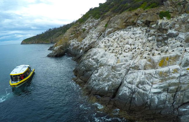 Cruzeiro Iron Pot - Saindo de Hobart - Foto 2