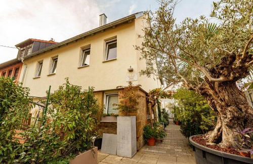 Wilhelm Appartements 100 qm Komfort und Fitness im Zentrum Brackenheim nähe Tripsdrill - Foto 19