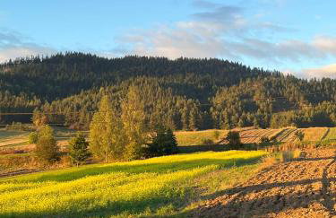 Apartament Pod Zamczyskiem - Photo 39