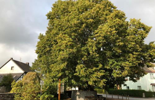 Heckenstübchen - Photo 17