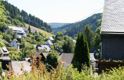 Ferienwohnung bei Willingen mit Terrasse - Photo 35