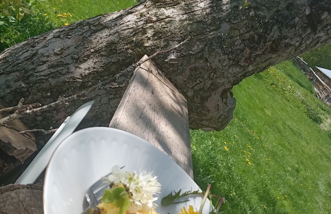 Room in Guest Room - Cozy Rural Retreat in Roşia Montana - Photo 18