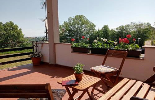 Spot on Civita - Foto 1