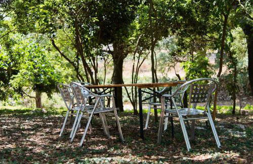 Masseria Trulli&Stelle B&B - Foto 48