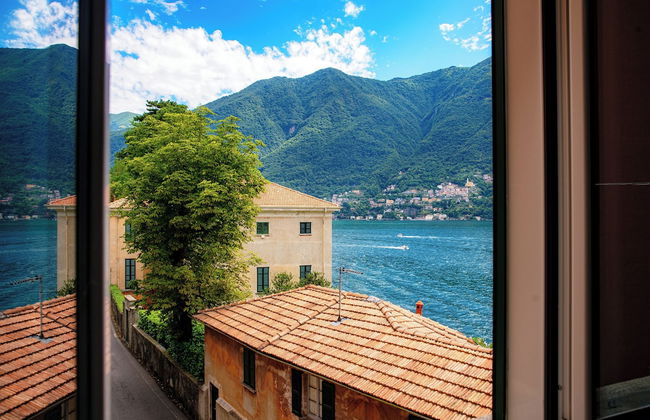 Lemon Tree - Photo 13