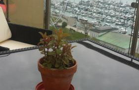 Panoramic sea views, sleeps 4, Torquay - Foto 31