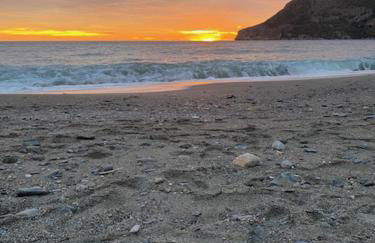 La casita azul - Photo 6