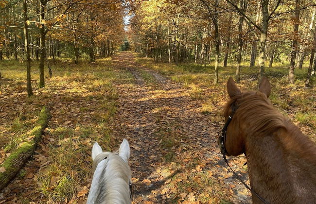 Holiday Home on a Riding Stable - Foto 33