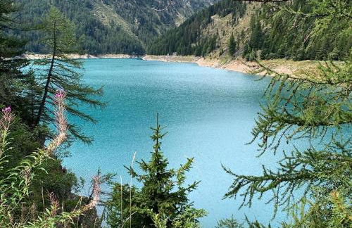 Lacasinapungitopo - Photo 27