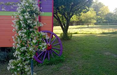 le Mas de la Jardine - Foto 55