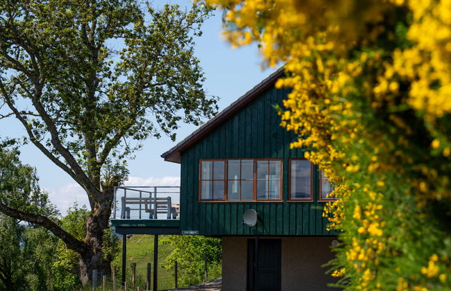 Achmony Green - Foto 1