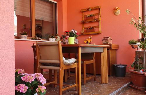 GUFO VERDE - Photo 13