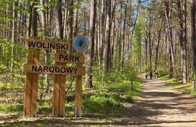 Biały domek - Photo 28