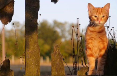 La Fontaine du Perche - Home Cinéma, Sauna, SPA, piscine intérieure chauffée jusqu'à fin novembre - Foto 23