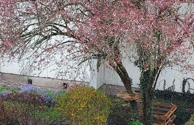 Appart'Hotel la Savoureuse - Foto 17