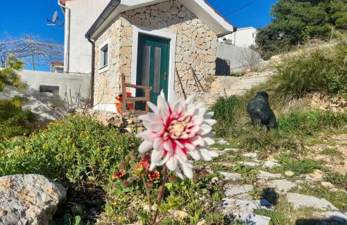 Vigo Apartments Croatia - Foto 6