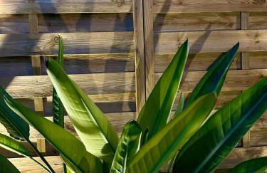 Don Bosco Suite - Foto 18