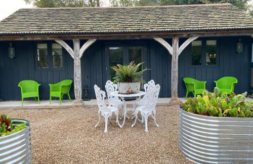 STARGAZER adult only - Foto 2