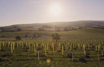 Low Lodge at Broughton Sanctuary - Foto 14