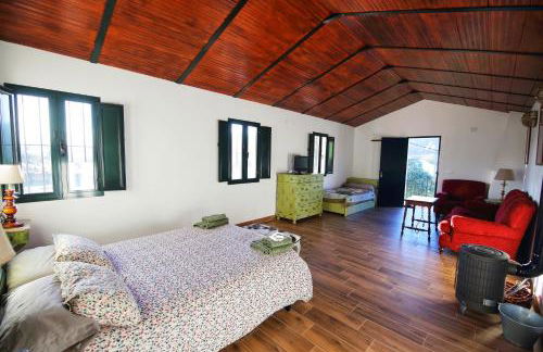 Coto Mina Concepcion - Foto 73