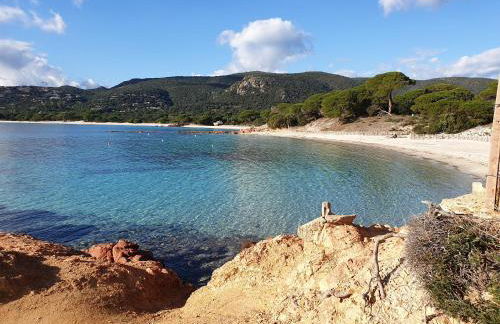 Studio pour 2 personnes à 700m de la plage de palombaggia - Foto 14