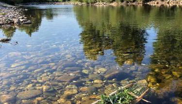 Bambou lodge anduze, les pieds dans l'eau - Photo 4