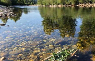 Bambou lodge anduze, les pieds dans l'eau - Foto 4