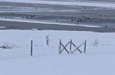 Drei-Insel-Blick Neßmersiel - Foto 57