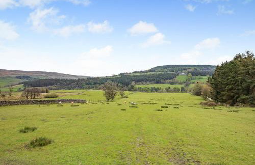 The Cottage - 28645 - Foto 15