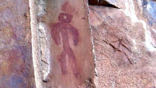 El Rincón de la Mimosa - Foto 3