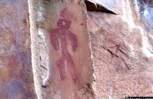 El Rincón de la Mimosa - Foto 3