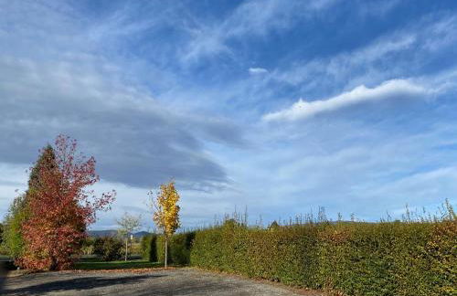 Domaine de la Noiseraie - Foto 22