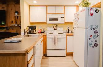 Cozy Condo, Minutes from Sunday River - Foto 10